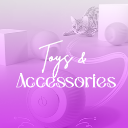 toys--accessories2