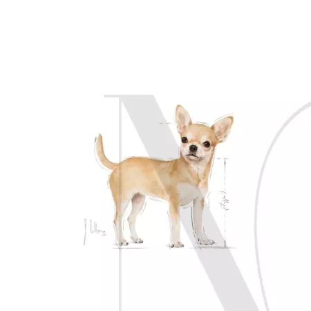 chih-ad-illustr-facing-bhn17