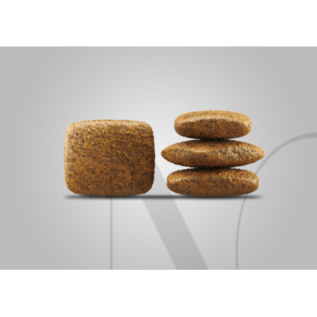 jos_krokette_gefluegelmenue_hintergrund