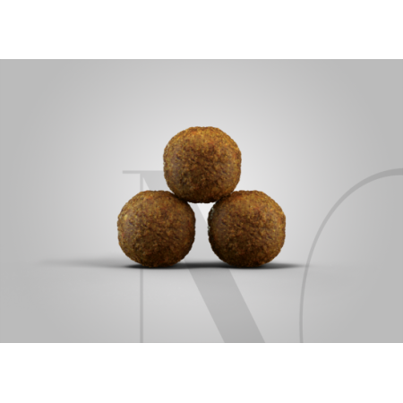 jos_krokette_kitten_hintergrund
