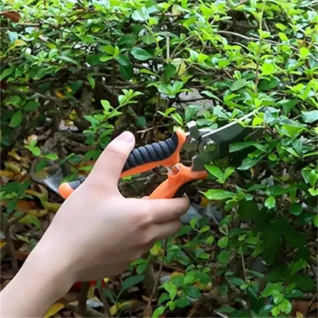pruner-garden-scissors-professional-sharp-bypass-pruning-shears-tree-trimmers-secateu_2