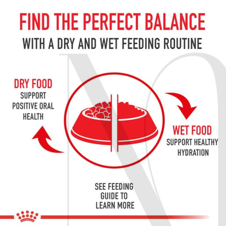 secondary-image-mixedfeedingbowl-info-fin-jpg