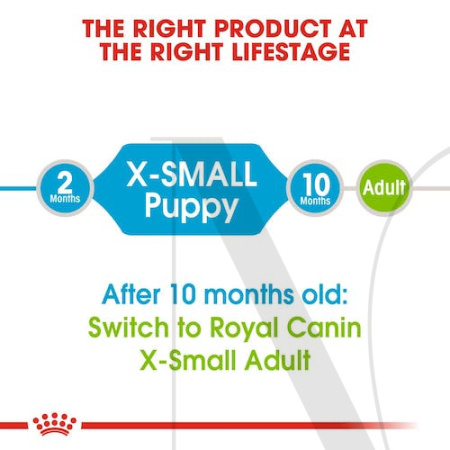 shn-puppyxsmall-cv-eretailkit-1