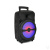 Soundtown LED 8-inch Portable Karaoke Bluetooth Party Speaker With Mic – TL8019